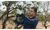 Bosch Professional 12V Akku-Pro-Astschere Pruner – Produktbild-Vorschau 13