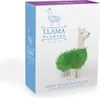 Lama Blumentopf mit Chia Samen Produktbild-Vorschau 6