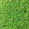AROS Trávna zmes Baby Grass (4 kg na 100 m²) Náhľad obrázku produktu 2