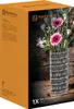Nachtmann Ethno Vase, Vase mit runder Form, Glas, Produktbild-Vorschau 4