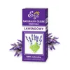 Olejek lawendowy 10 ml Náhľad obrázku produktu 1