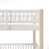 A close-up view of the upper bunk of a white wooden bunk bed with natural wood posts, against a white background. Produktbild-Vorschau