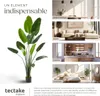 Arbre oiseau du paradis TROPIC - 180 cm Voir les images du produit 7