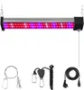 A grow light with red and blue LEDs, along with its accessories, is displayed against a white background. Náhľad obrázku produktu
