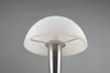 Stolní lampa TRIO RE R59561107 CANARIA E14 4,9 W matný nikl Náhled obrázku produktu 14