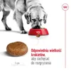 Royal Canin Maxi Adult 5+, Dospělý jedinec, Velký (26 až 44 Náhled obrázku produktu 4