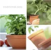 A collage of images showing traditional terracotta pots with plants. Anteprima dell’immagine prodotto