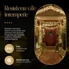 Meisterhome Rete luminosa a LED 3x3 metri per esterni e Anteprima dell’immagine prodotto 3