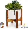 Fox & Fern Porte Plante Interieur, Support de Plantes en Voir les images du produit 1