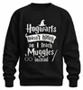 Como Hogwarts no estaba contratando, opté por enseñar a Vista previa de la imagen del producto 1