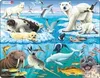 Larsen Maxi LA-FH11, 75 Stück(e), Fauna, 6 Jahr(e) Produktbild-Vorschau 1