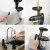 KitchenBrothers Slow Juicer - Entsafter - Obst- und Produktbild-Vorschau 4