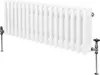 Radiatore tradizionale a 3 colonne - 300 x 832 mm - Bianco Anteprima dell’immagine prodotto 1