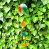 Schmelzgranulat Colouraplast Geschenkpackung Produktbild-Vorschau 9