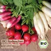 Samenliebe  Radieschen Samen | Mischung aus 3 Sorten - Produktbild-Vorschau 4