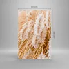 Bilder auf glas - Einteilig - Gras Boho Licht - 80x120cm - Produktbild-Vorschau 3