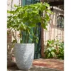 Capi Blumenkübel Nature Row Elegant Niedrig 46x58 cm Produktbild-Vorschau 2
