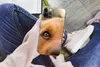 MuchoWow® Handyhülle Schutzhülle Hülle für iPhone 13 Pro Produktbild-Vorschau 3