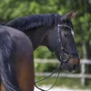 Sprenger Wassertrense Doppelt gebrochen WH Ultra Soft 16 mm Produktbild-Vorschau 2