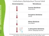 4 Jahreszeiten Bettdecke 135x200 Lyocell Lyocell Bio Produktbild-Vorschau 7