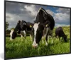 MuchoWow® Gerahmtes Poster Kühe - Tiere - Gras - Wiese - Produktbild-Vorschau 1