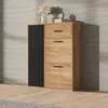 A shoe cabinet with drawers and a door, placed against a textured wall. Produktbild-Vorschau
