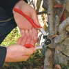 Hands using pruning shears to cut a tree branch. Náhled obrázku produktu
