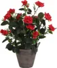Pianta decorativa Mica Decorazioni Rosal in Vetroceramica Anteprima dell’immagine prodotto 5