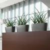LECHUZA® Kvetináče DELTA 10 antracitová metalíza All-in-One Náhľad obrázku produktu 14