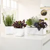 Four planters with herbs and plants on a white countertop, with a window in the background. Produktbild-Vorschau