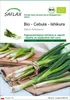 SAFLAX - Bio - Cebula - Ishikura - 150 Nasiona - Allium Podgląd zdjęcia produktu 1
