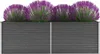 vidaXL Lit surélevé de jardin Acier galvanisé 240x80x77 cm Voir les images du produit 1