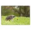 MuchoWow® Schreibtischunterlage Igel - Blume - Frühling Produktbild-Vorschau 1