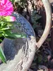 Shabby Chic Dekoschale mit Fuß Produktbild-Vorschau 6