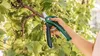 Akku-Gartenschere EasyPrune Produktbild-Vorschau 2