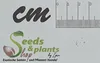 10x Drosanthemum speciosum Sukkulent Garten Pflanzen - Produktbild-Vorschau 2