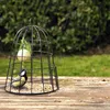 Mangeoire oiseaux avec protection - L 23,7 x P 23,7 x H Voir les images du produit 3