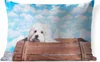 MuchoWow® Outdoor Kissen - Malteser Hund in einer Holzkiste Produktbild-Vorschau 1