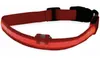 ChiliTec Hunde Halsband mit LED Beleuchtung Produktbild-Vorschau 7