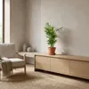 3x Mieszanka palm tropikalnych – Dypsis-Chamaedorea-Yucca – Podgląd zdjęcia produktu 3