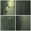 Bild auf Leinwand - Leinwandbild - Einteilig - Wald Nebel Produktbild-Vorschau 8