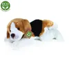 RAPPA Plüsch Beagle Hund liegend 30 cm ECO-FRIENDLY Produktbild-Vorschau 3