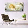 Glasbilder 140x70 Wandbild Druck auf Glas Roses Pflanzen Produktbild-Vorschau 3