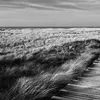Duschrückwand Strand selbstklebend - 0.61 mm Wandpaneel Produktbild-Vorschau 9