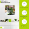 ARTland Wandbild, selbstklebend Gesunder Kräutermix im Produktbild-Vorschau 3
