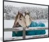 MuchoWow® MuchoWow® Gerahmtes Poster Pferde - Decke - Produktbild-Vorschau 1