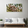 Tulup Leinwand-Bilder 100x50 Wandbild Canvas Kunstdruck Produktbild-Vorschau 3