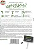 SPERLI Winterasternsamen Fiambre Chrysanthemum indicum 100 Produktbild-Vorschau 4