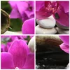 Poster - Poster ohne Rahmen - Orchidee Bambus Dekoration Produktbild-Vorschau 8