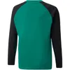 Puma Teamliga Sweat Kinder - Grün Produktbild-Vorschau 2